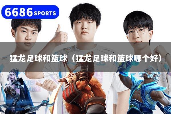 猛龙足球和篮球（猛龙足球和篮球哪个好）