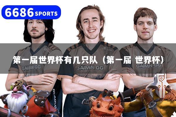 第一届世界杯有几只队（第一届 世界杯）