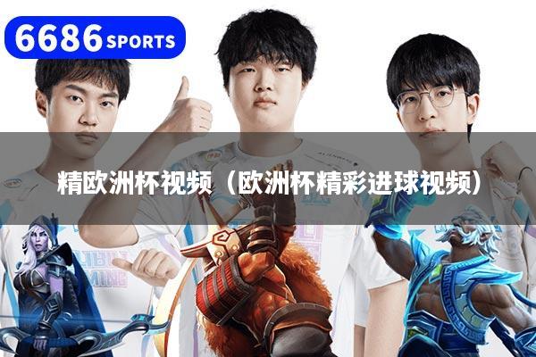 精欧洲杯视频（欧洲杯精彩进球视频）