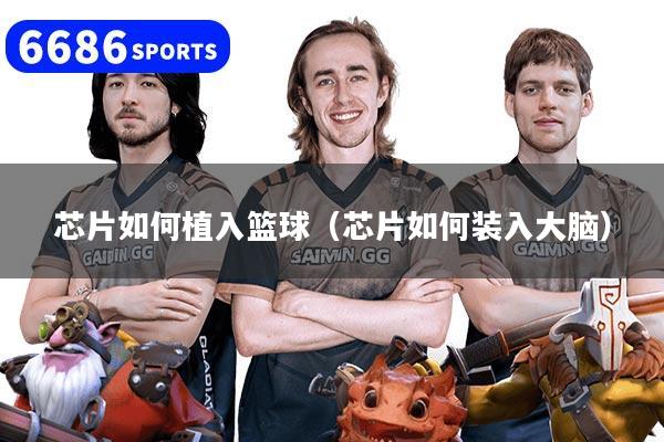 芯片如何植入篮球（芯片如何装入大脑）