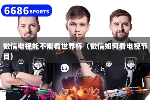 微信电视能不能看世界杯（微信如何看电视节目）